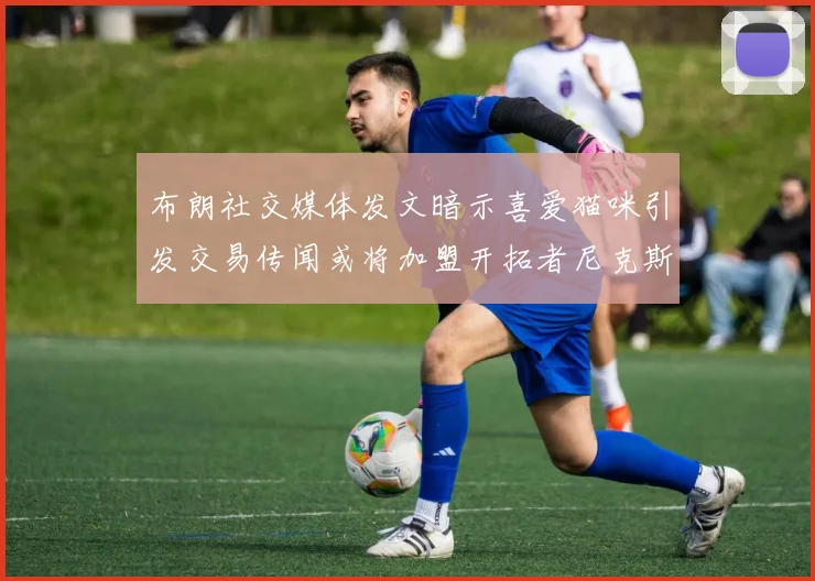 布朗社交媒体发文暗示喜爱猫咪引发交易传闻或将加盟开拓者尼克斯雷霆湖人
