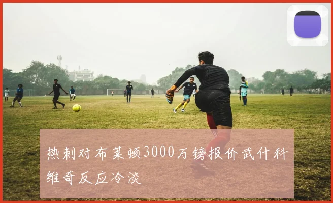 热刺对布莱顿3000万镑报价武什科维奇反应冷淡